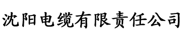 亚洲—区二区三区电缆厂logo